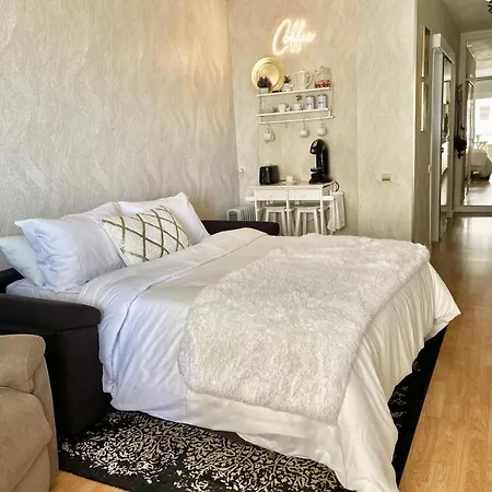 Estudio En Primera Linea De Mar De マルベーリャ